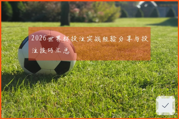 2026世界杯投注实战经验分享与投注技巧汇总