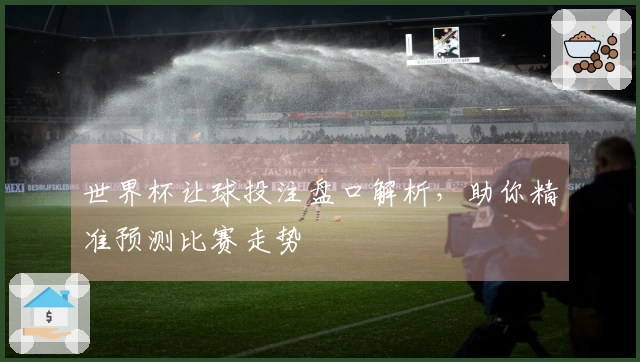 世界杯让球投注盘口解析，助你精准预测比赛走势