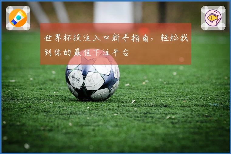 世界杯投注入口新手指南，轻松找到你的最佳下注平台