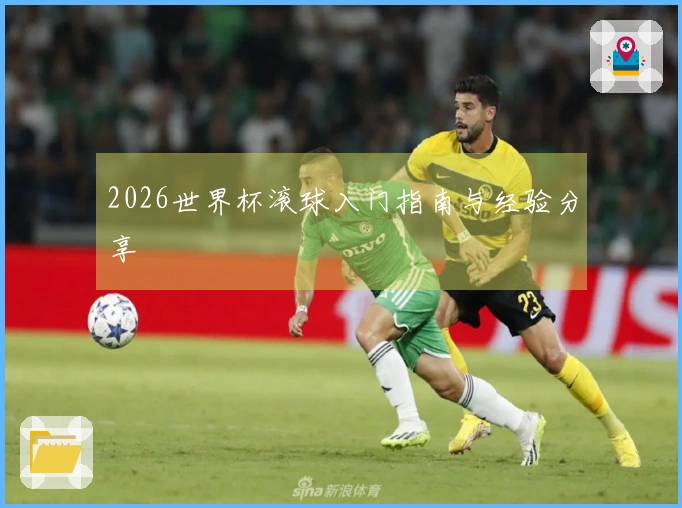 2026世界杯滚球入门指南与经验分享