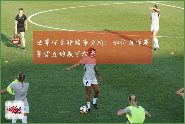 世界杯竞猜赔率分析：如何看懂赛事背后的数字秘密