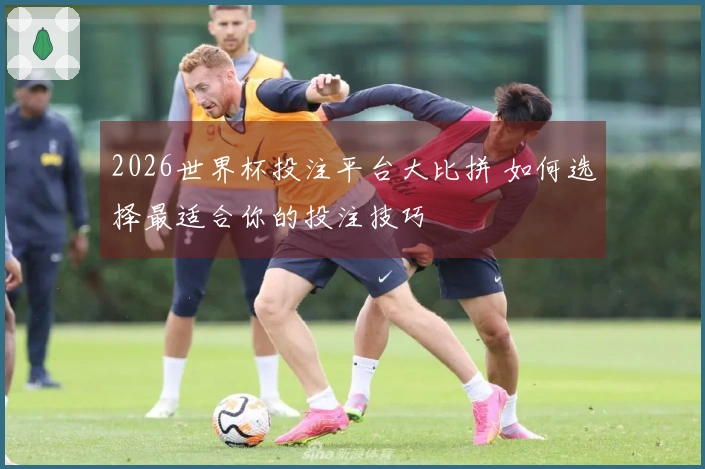 2026世界杯投注平台大比拼 如何选择最适合你的投注技巧